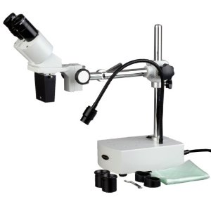 Stereoscopic Microscope