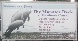 Manatee_Sign